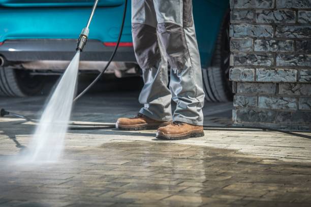 Animal Enclosure Cleaning in Opelika, AL